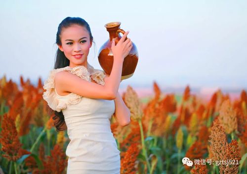 白酒酿造原料及收购指南